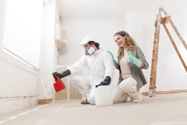 Environmental Consulting for Mold Prevention in Rio Grande City, TX