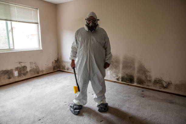 Best Mold Odor Removal Services  in Rio Grande City, TX